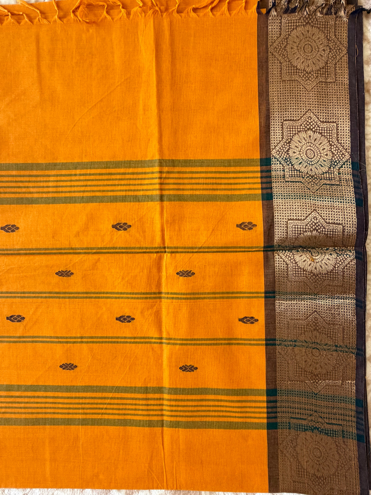 Varnika- Kanchi Cotton Saree