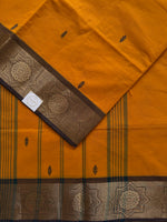 Varnika- Kanchi Cotton Saree