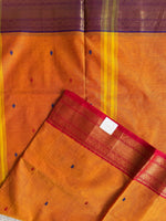 Dvandva Kanika- Kanchi Cotton Saree