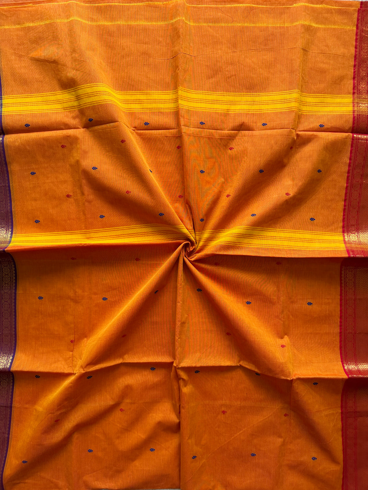 Dvandva Kanika- Kanchi Cotton Saree