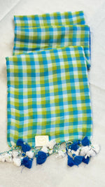 Lagoon Melody- Blue & Green Checkered Mul Cotton Saree with Tassels