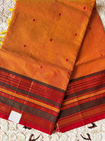 Swarna Sandhya- Kanchi Cotton Saree