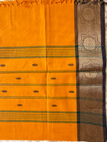 Varnika- Kanchi Cotton Saree