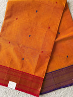 Dvandva Kanika- Kanchi Cotton Saree